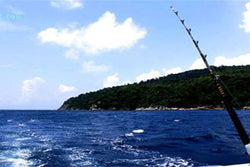Classification of fishing tackle products