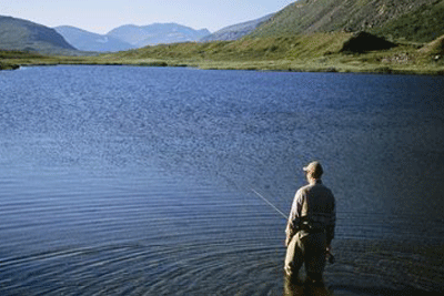 When sea fishing, how to pull the stream to catch the black catfish?