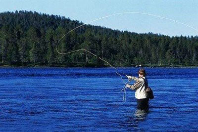 Fishing in summer