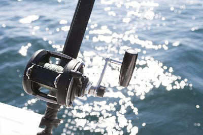 How to choose fishing reel