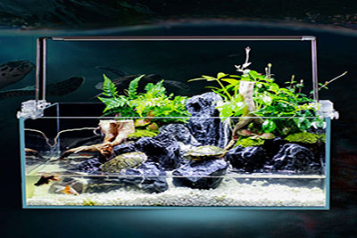 How to install lights for the aquarium