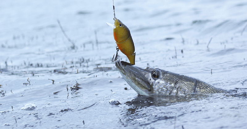 How to Fish? Step 1: Picking a Spot