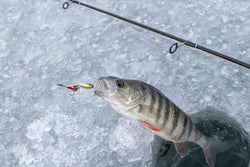 Ice Fishing