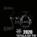 DAIWA TATULA SV TW Baitcasting Fishing Reel