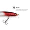 Minnow Fishing Lure