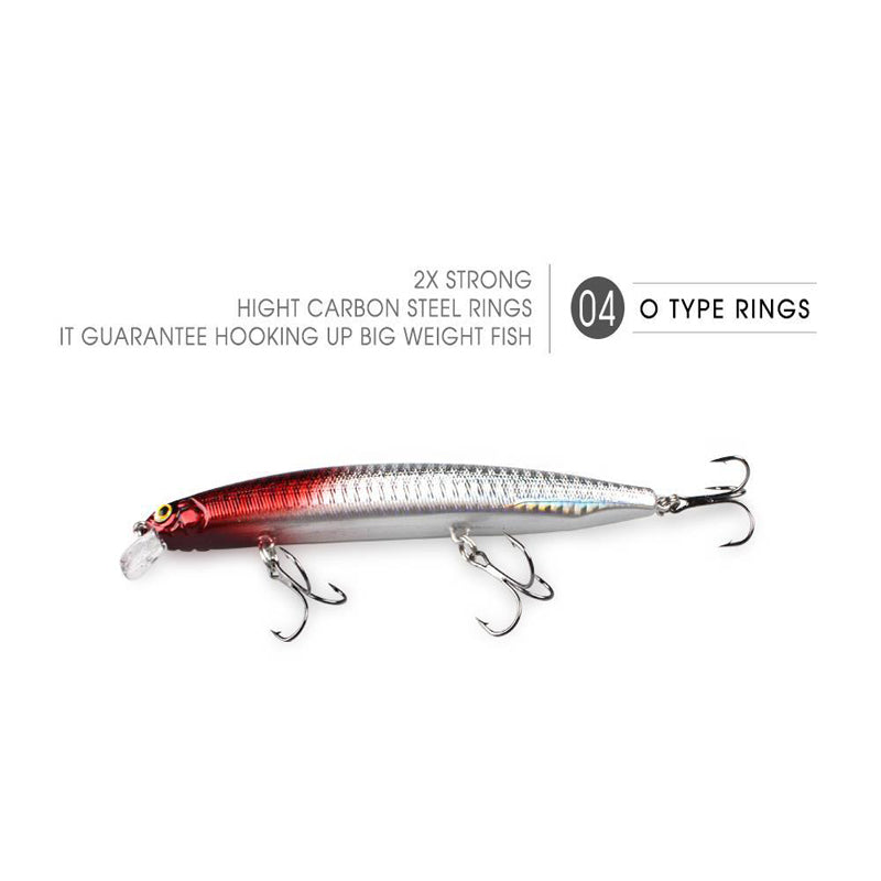 Minnow Fishing Lure