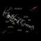 Piscifun Carbon X Spinning Reel 5.2:1 6.2:1 Gear Ratio