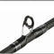 RoseWood Casting Spinning Fishing Rod
