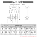 AMYSPORTS 2-8pcs Bow-shaped D shackle stainless steel fittings