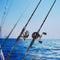 Goture Xceed Casting Spinning Fishing Rod