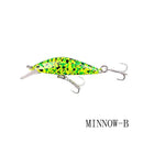 Minnow Fishing Lure
