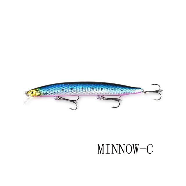 Minnow Fishing Lure
