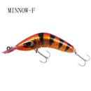 Minnow Fishing Lure
