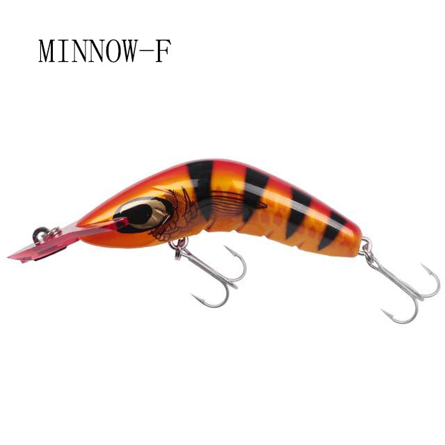 Minnow Fishing Lure