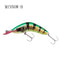 Minnow Fishing Lure