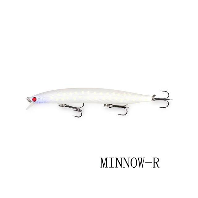Minnow Fishing Lure