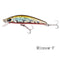 Minnow Fishing Bait
