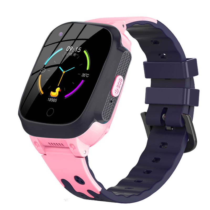 LT25 Watch Repair
