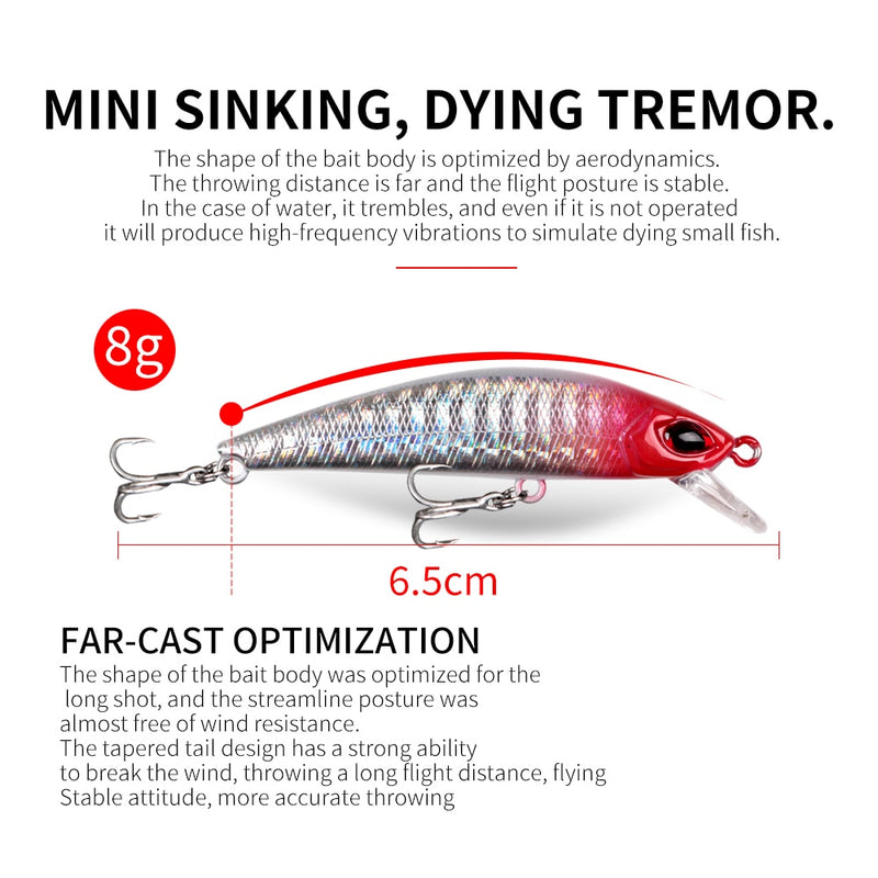 Minnow Fishing Bait