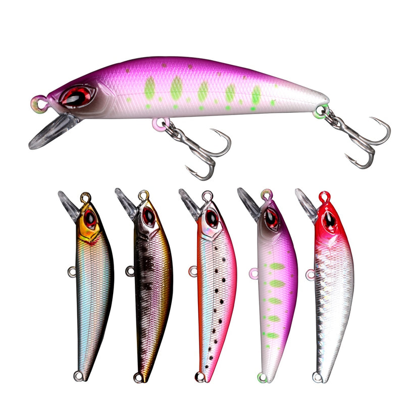 Minnow Fishing Bait
