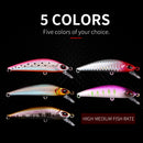 Minnow Fishing Bait
