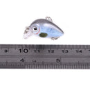 Crankbait Topwater  Lure