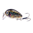 Crankbait Topwater  Lure